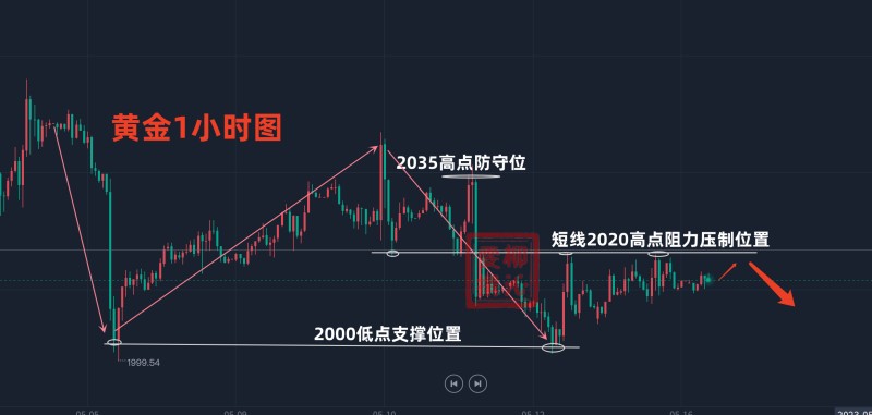 揭秘，最新走势分析预测，深度解读003044动向